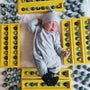 Geboorte bonbons blauw
