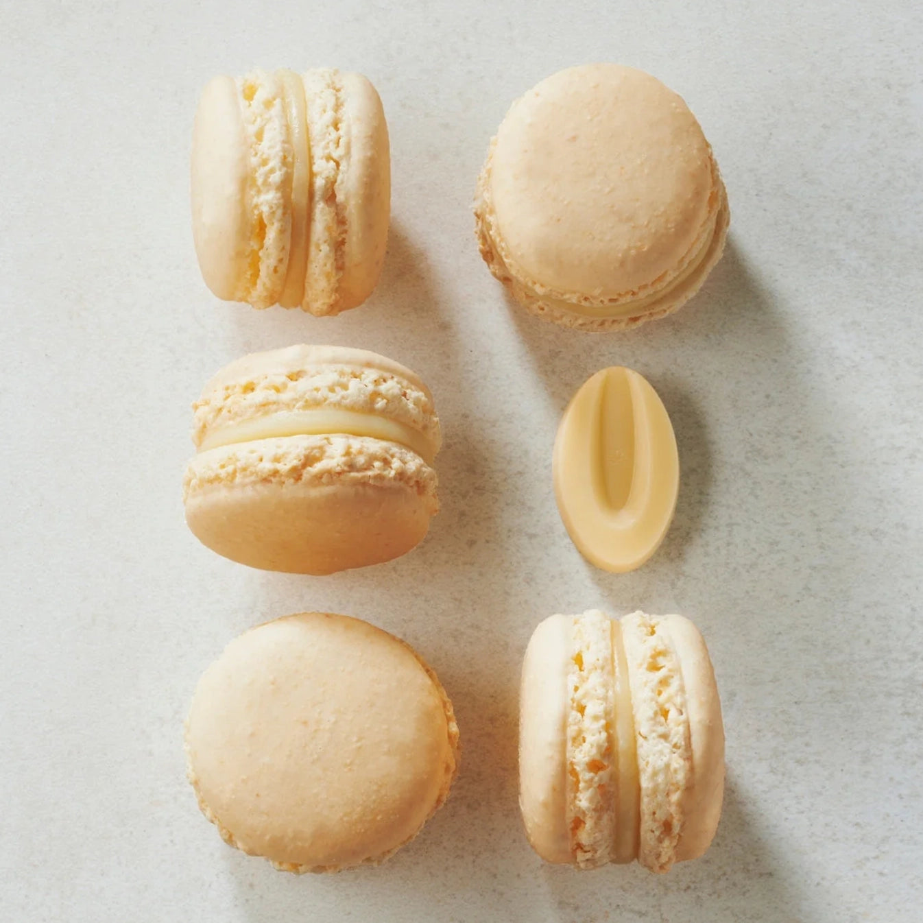 Valrhona Satilia Blanche 31 % weiße Schokolade Fèves